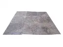 Travertin_Gris_Silver_457x457x12_cm_Adoucie_1er_Choix_42_C_HT_-_m-02.webp