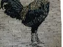 Travertin Rosaces Coq 60x60x1 cm Antique 550 € HT - piece - 02.webp