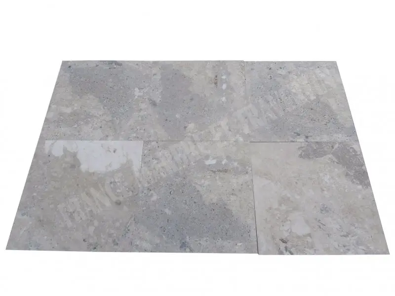 Marbre Marfil Beige Silver Shell 61x61 cm 