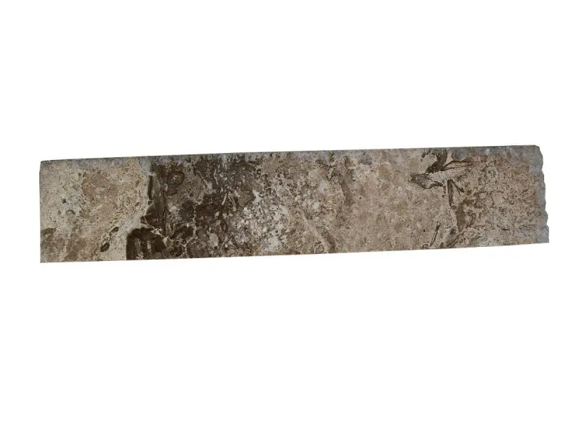 Travertin Walnut Plinthe 40,6x8 cm 